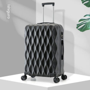 Pro Series 20" Carry-On Suitcase with TSA Lock